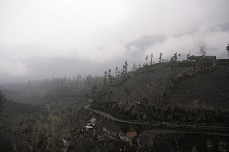 Ява, Бали, Ломбок, Гили Мено, Траванган. 9 человек, 3 недели