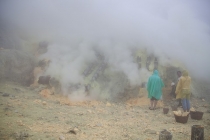 Ява, Бали, Ломбок, Гили Мено, Траванган. 9 человек, 3 недели