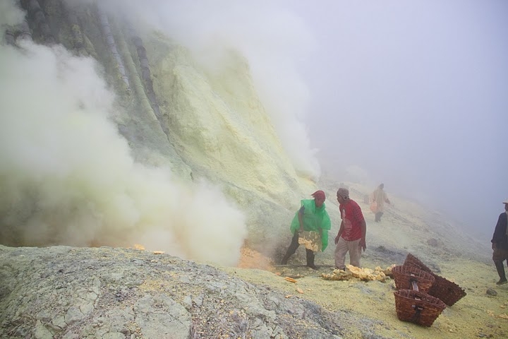 Ява, Бали, Ломбок, Гили Мено, Траванган. 9 человек, 3 недели
