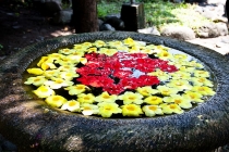 Ява, Бали, Ломбок, Гили Мено, Траванган. 9 человек, 3 недели