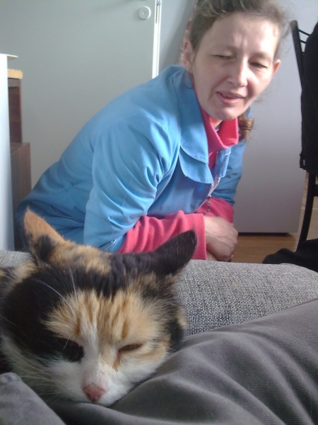 Кошки в нашей жизни. Кошки и все, что с ними связано.