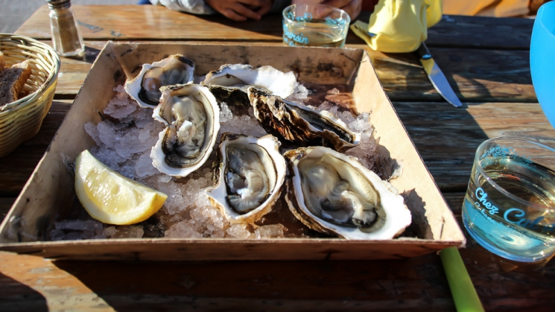 Путь домой - Франция
