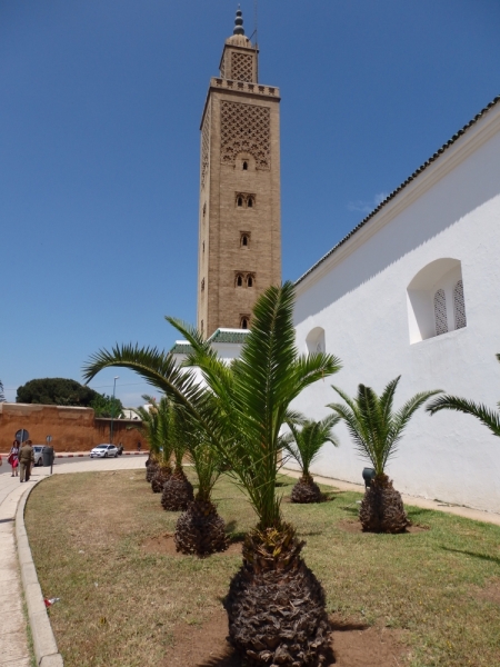 Неделя в Марокко в конце апреля (Марракеш - Касабланка - Рабат)
