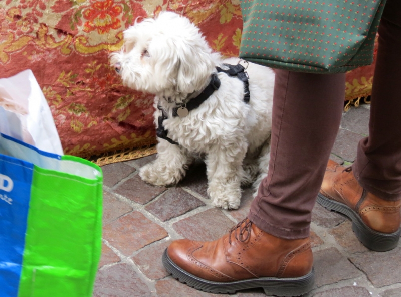 Случайная Италия. Просто погулять. Бергамо-Больцано-Брешиа, март 2017.