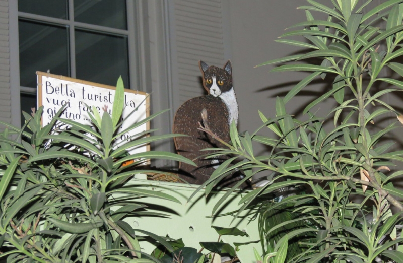 Случайная Италия. Просто погулять. Бергамо-Больцано-Брешиа, март 2017.