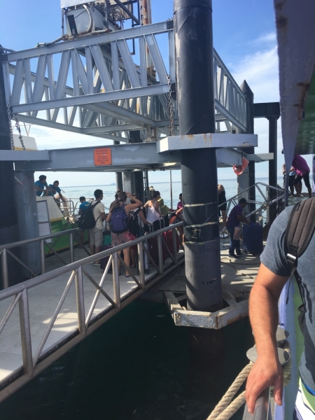 10 дней Мая на Пи Пи