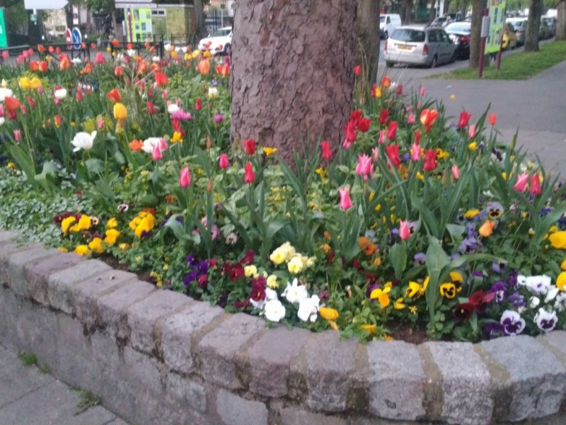 Париж, Париж, Париж или сбывшиеся мечты мамы и дочи