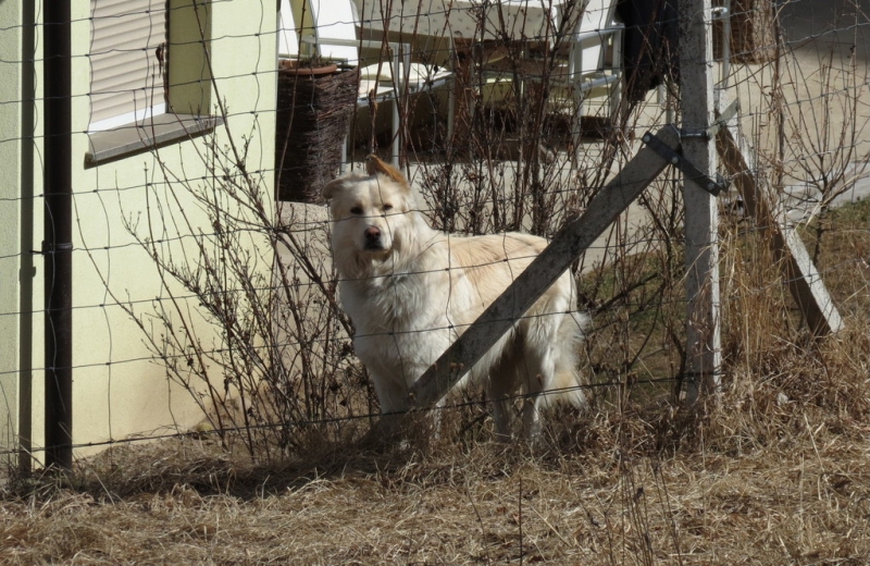 Случайная Италия. Просто погулять. Бергамо-Больцано-Брешиа, март 2017.