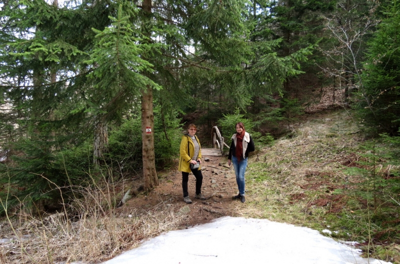 Случайная Италия. Просто погулять. Бергамо-Больцано-Брешиа, март 2017.