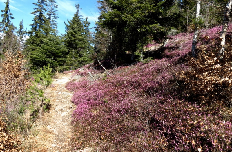 Случайная Италия. Просто погулять. Бергамо-Больцано-Брешиа, март 2017.