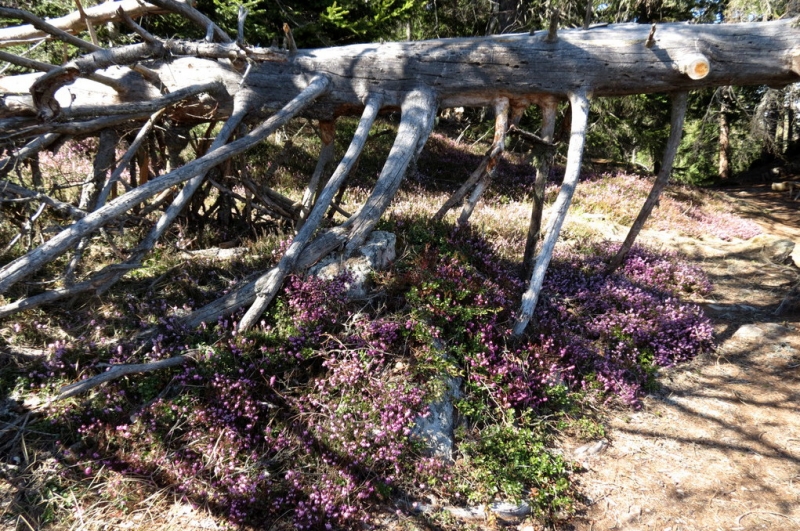 Случайная Италия. Просто погулять. Бергамо-Больцано-Брешиа, март 2017.