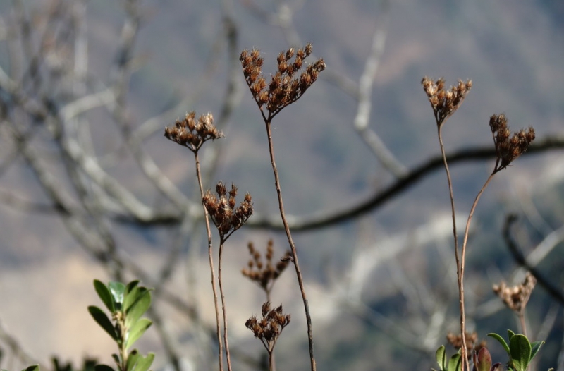 Случайная Италия. Просто погулять. Бергамо-Больцано-Брешиа, март 2017.