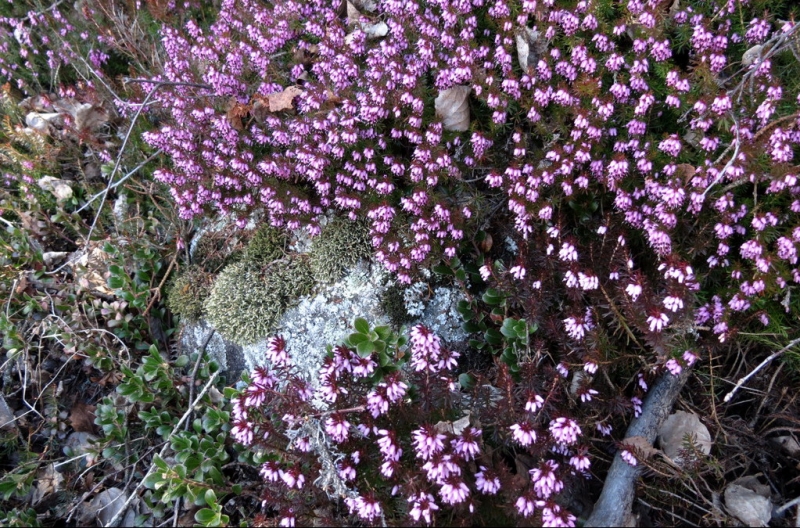 Случайная Италия. Просто погулять. Бергамо-Больцано-Брешиа, март 2017.