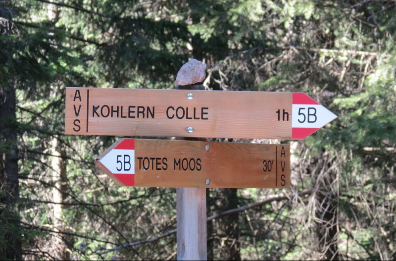 Случайная Италия. Просто погулять. Бергамо-Больцано-Брешиа, март 2017.