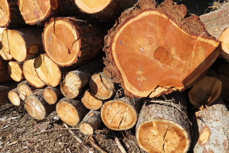 Случайная Италия. Просто погулять. Бергамо-Больцано-Брешиа, март 2017.