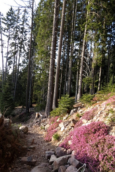 Случайная Италия. Просто погулять. Бергамо-Больцано-Брешиа, март 2017.