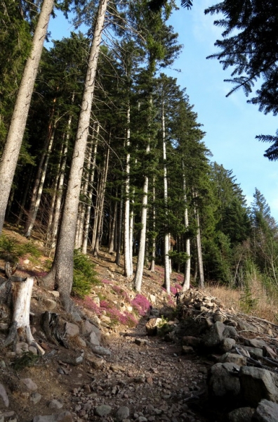 Случайная Италия. Просто погулять. Бергамо-Больцано-Брешиа, март 2017.