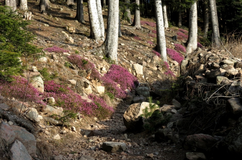 Случайная Италия. Просто погулять. Бергамо-Больцано-Брешиа, март 2017.