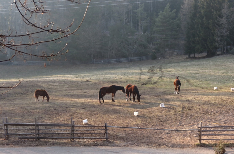 Случайная Италия. Просто погулять. Бергамо-Больцано-Брешиа, март 2017.