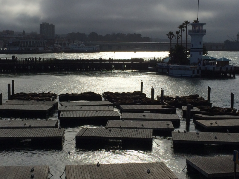 Без машины: Лос-Анджелес - Сан-Диего - Сан-Франциско - Лас-Вегас - Чикаго - Нью-Йорк и каньоны? - Done!