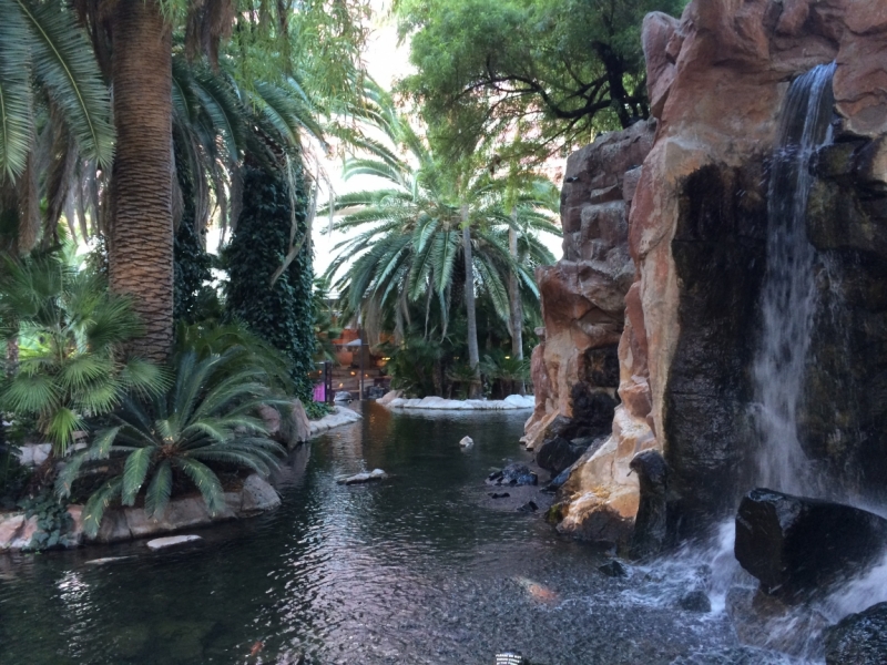 Без машины: Лос-Анджелес - Сан-Диего - Сан-Франциско - Лас-Вегас - Чикаго - Нью-Йорк и каньоны? - Done!