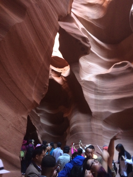 Без машины: Лос-Анджелес - Сан-Диего - Сан-Франциско - Лас-Вегас - Чикаго - Нью-Йорк и каньоны? - Done!