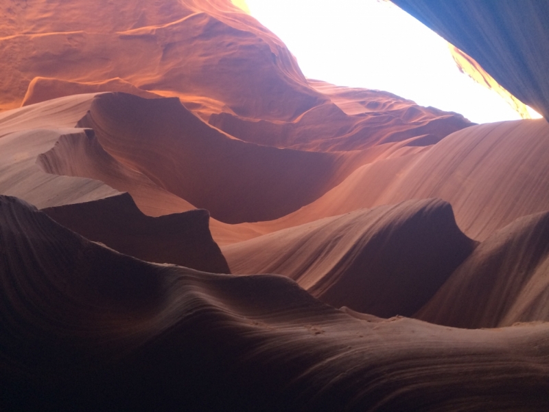 Без машины: Лос-Анджелес - Сан-Диего - Сан-Франциско - Лас-Вегас - Чикаго - Нью-Йорк и каньоны? - Done!