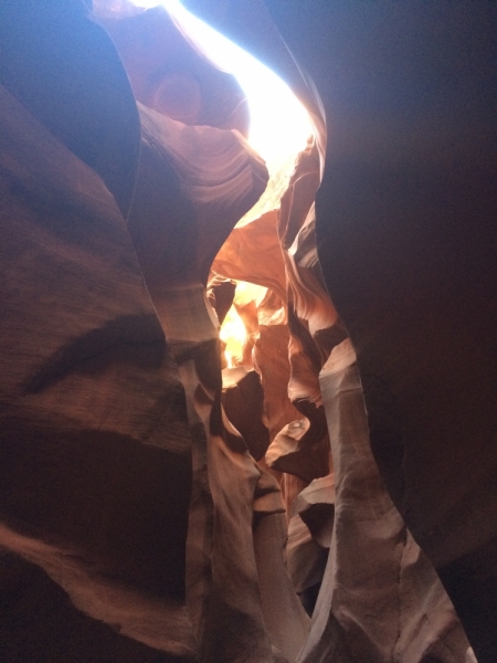 Без машины: Лос-Анджелес - Сан-Диего - Сан-Франциско - Лас-Вегас - Чикаго - Нью-Йорк и каньоны? - Done!