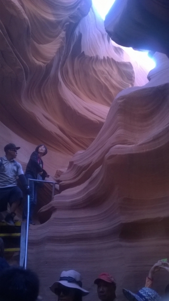 Без машины: Лос-Анджелес - Сан-Диего - Сан-Франциско - Лас-Вегас - Чикаго - Нью-Йорк и каньоны? - Done!