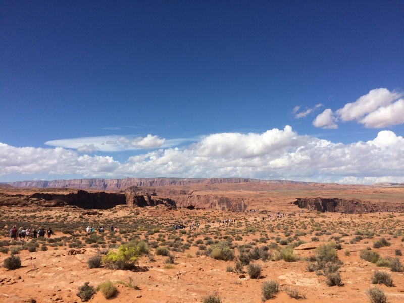 Без машины: Лос-Анджелес - Сан-Диего - Сан-Франциско - Лас-Вегас - Чикаго - Нью-Йорк и каньоны? - Done!