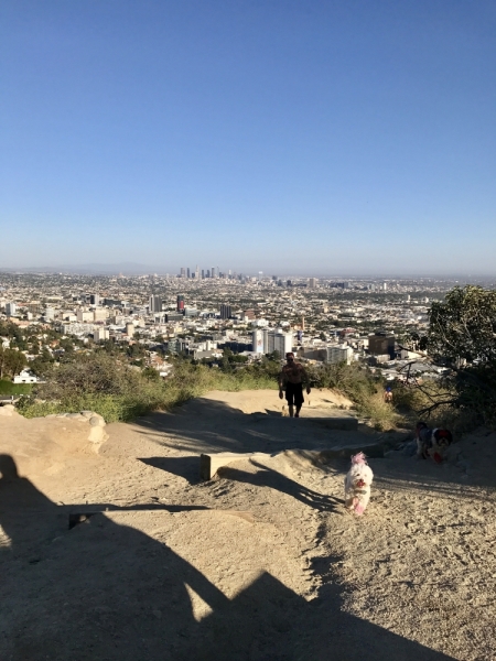 Большие города . Запад и Восток США