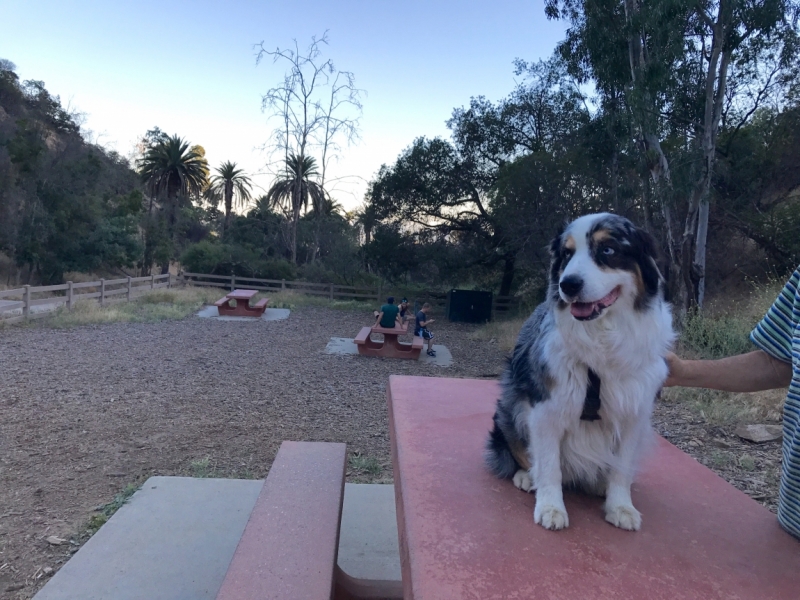 Большие города . Запад и Восток США