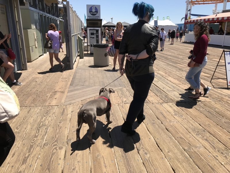 Большие города . Запад и Восток США