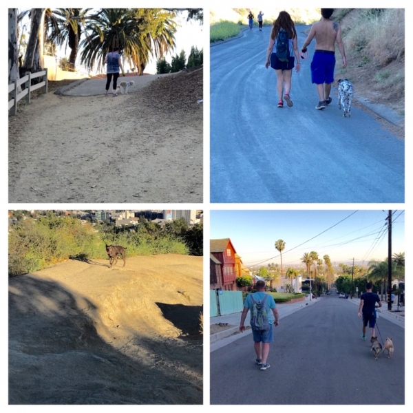 Большие города . Запад и Восток США