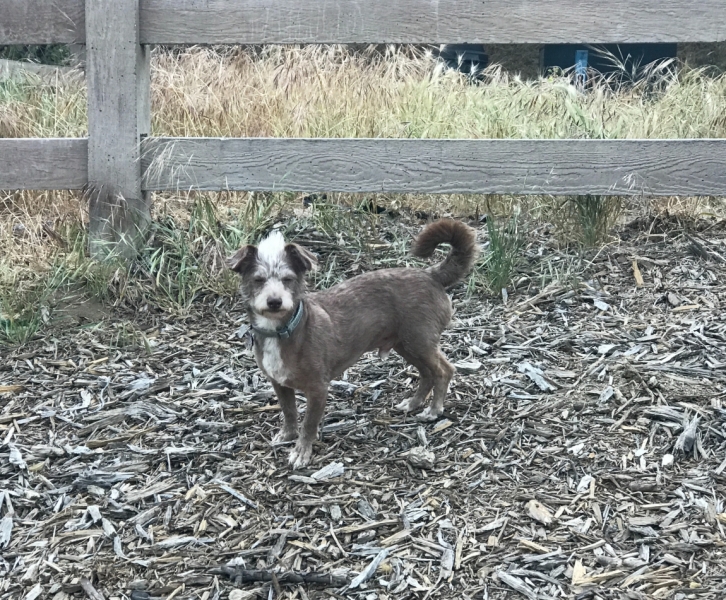 Большие города . Запад и Восток США