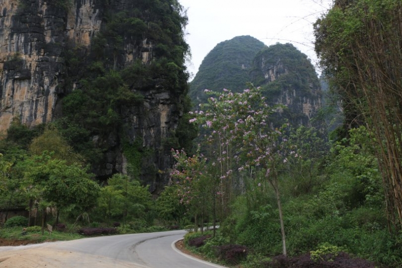 Китай без дождей. 2 недели в апреле 2017-го. Гуанчжоу-Шаогуань-Яншо-Синпин-Дажай-Чжанцзяцзе-Фуронг-Дэханг-Фенхуан-Шанхай