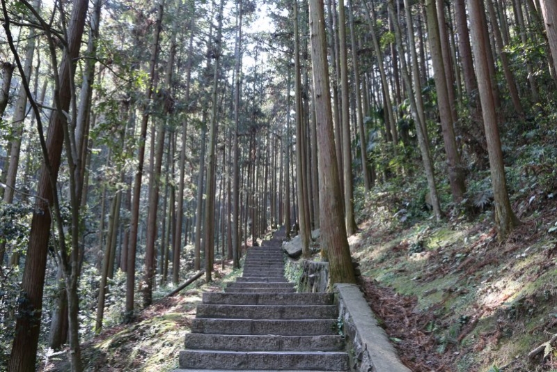 Китай без дождей. 2 недели в апреле 2017-го. Гуанчжоу-Шаогуань-Яншо-Синпин-Дажай-Чжанцзяцзе-Фуронг-Дэханг-Фенхуан-Шанхай