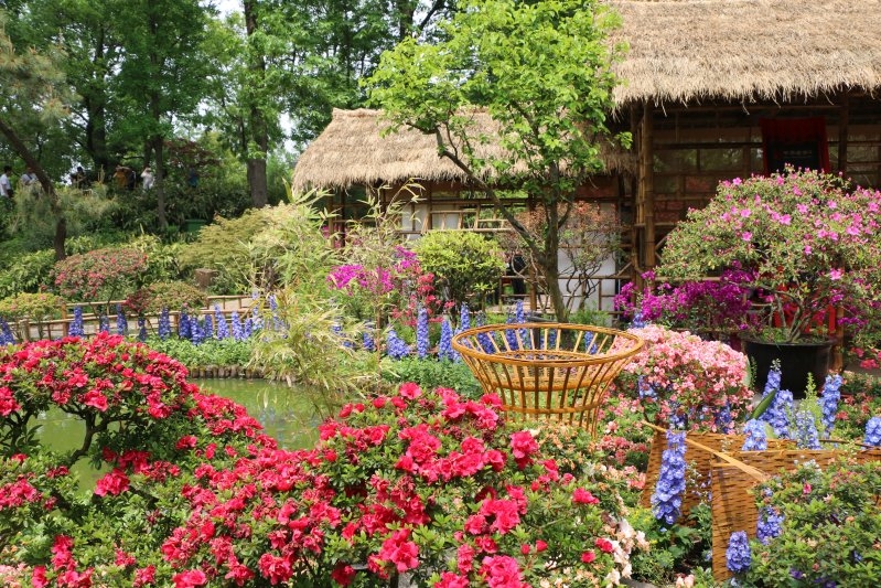 Китай без дождей. 2 недели в апреле 2017-го. Гуанчжоу-Шаогуань-Яншо-Синпин-Дажай-Чжанцзяцзе-Фуронг-Дэханг-Фенхуан-Шанхай