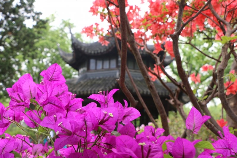 Китай без дождей. 2 недели в апреле 2017-го. Гуанчжоу-Шаогуань-Яншо-Синпин-Дажай-Чжанцзяцзе-Фуронг-Дэханг-Фенхуан-Шанхай