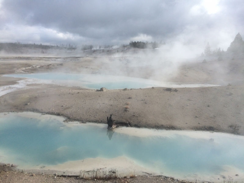 Без машины: Лос-Анджелес - Сан-Диего - Сан-Франциско - Лас-Вегас - Чикаго - Нью-Йорк и каньоны? - Done!
