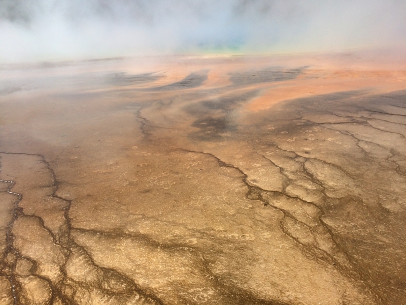Без машины: Лос-Анджелес - Сан-Диего - Сан-Франциско - Лас-Вегас - Чикаго - Нью-Йорк и каньоны? - Done!