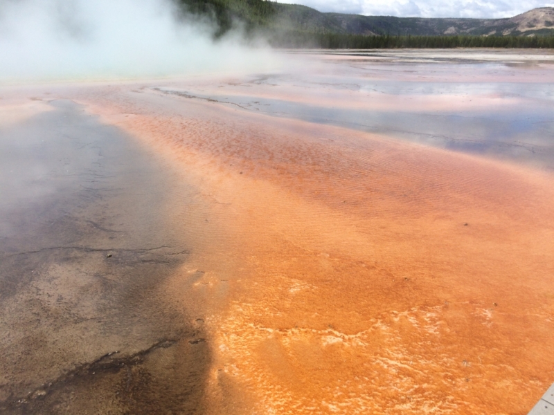 Без машины: Лос-Анджелес - Сан-Диего - Сан-Франциско - Лас-Вегас - Чикаго - Нью-Йорк и каньоны? - Done!