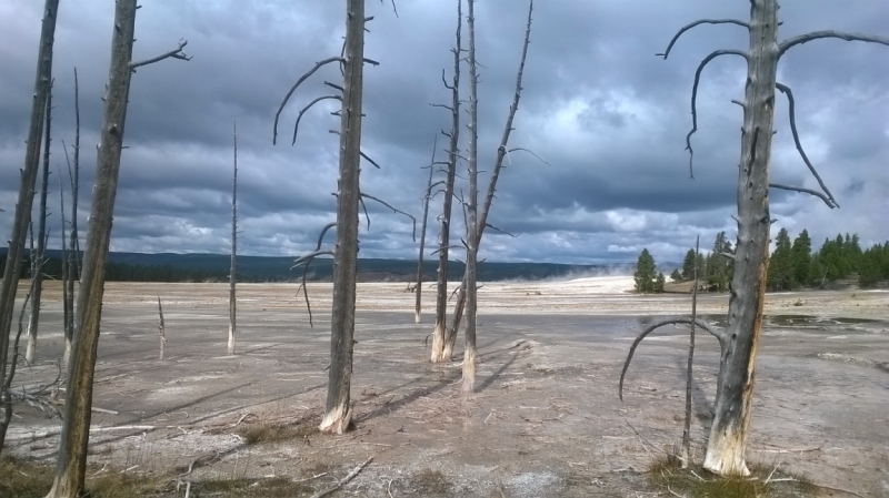 Без машины: Лос-Анджелес - Сан-Диего - Сан-Франциско - Лас-Вегас - Чикаго - Нью-Йорк и каньоны? - Done!