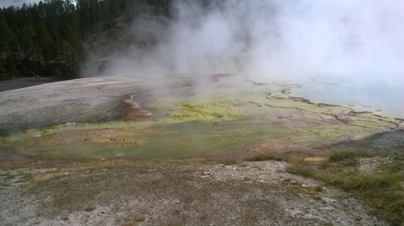 Без машины: Лос-Анджелес - Сан-Диего - Сан-Франциско - Лас-Вегас - Чикаго - Нью-Йорк и каньоны? - Done!