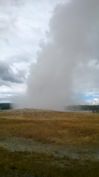 Без машины: Лос-Анджелес - Сан-Диего - Сан-Франциско - Лас-Вегас - Чикаго - Нью-Йорк и каньоны? - Done!