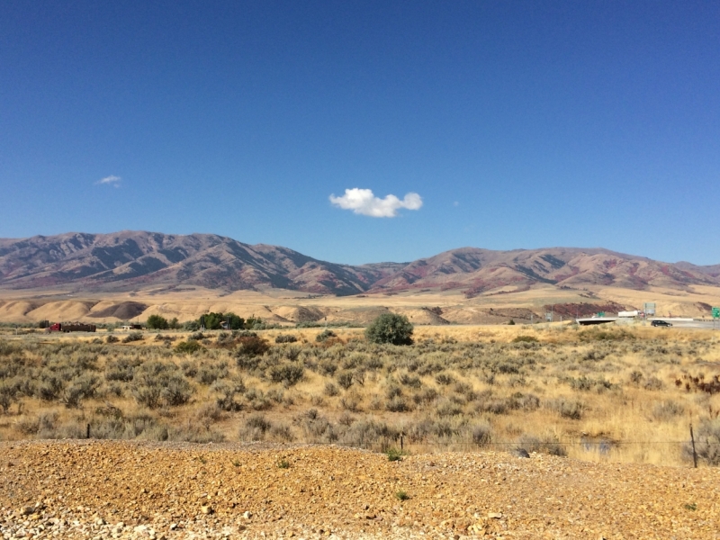 Без машины: Лос-Анджелес - Сан-Диего - Сан-Франциско - Лас-Вегас - Чикаго - Нью-Йорк и каньоны? - Done!