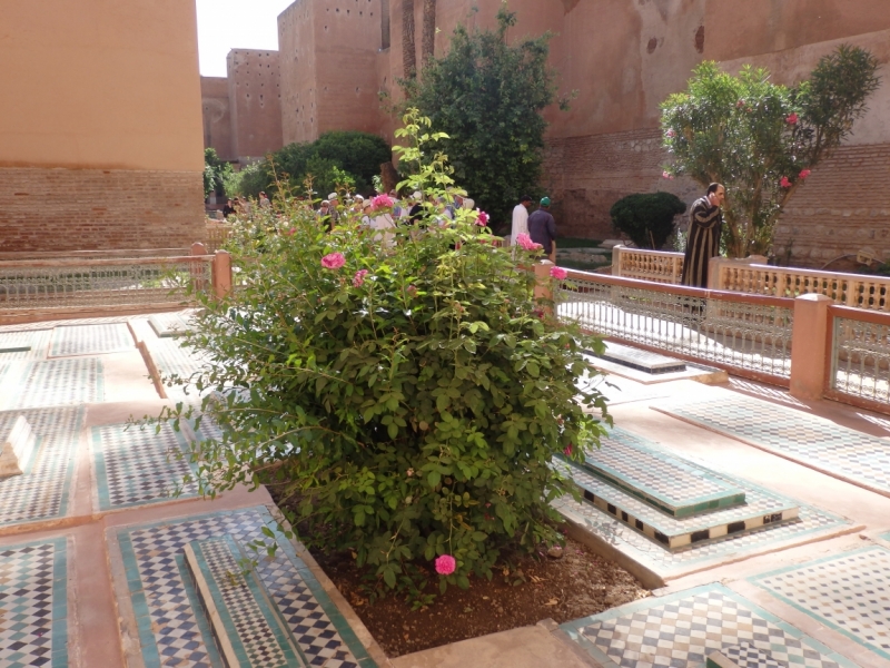 Неделя в Марокко в конце апреля (Марракеш - Касабланка - Рабат)