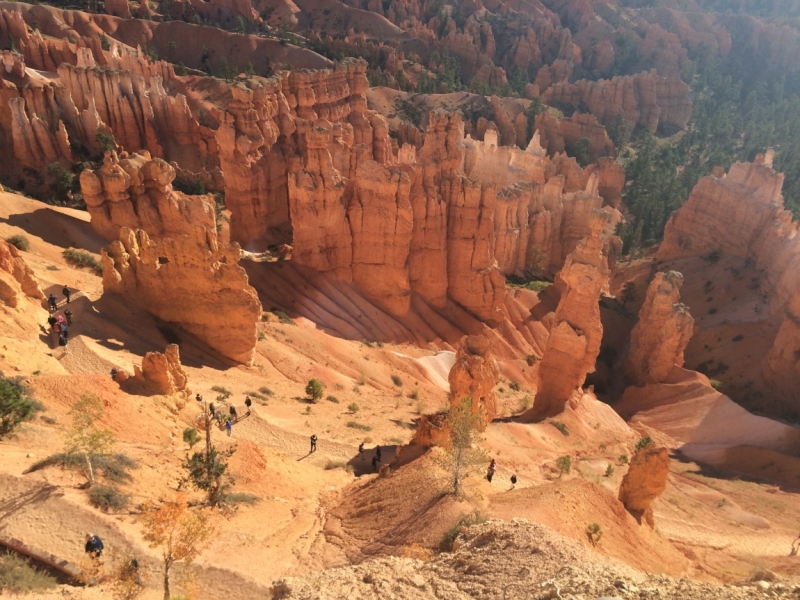 Без машины: Лос-Анджелес - Сан-Диего - Сан-Франциско - Лас-Вегас - Чикаго - Нью-Йорк и каньоны? - Done!