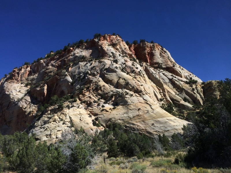 Без машины: Лос-Анджелес - Сан-Диего - Сан-Франциско - Лас-Вегас - Чикаго - Нью-Йорк и каньоны? - Done!