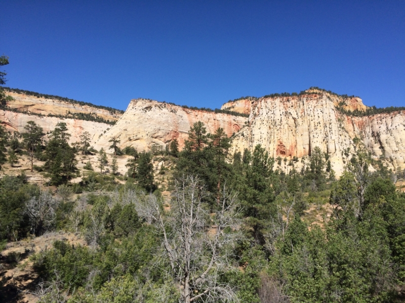 Без машины: Лос-Анджелес - Сан-Диего - Сан-Франциско - Лас-Вегас - Чикаго - Нью-Йорк и каньоны? - Done!
